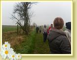 Villers_au_Tertre_24.11.2011 (11)